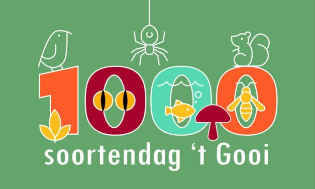 Vrijwilligers brengen ’s nachts de natuur van het Gooi in kaart tijdens de Duizendsoortendag