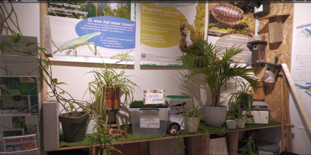 Het tuinvogelspreekuur: hoe het duurzaamheidscentrum bewoners en natuur verbindt