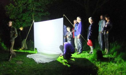 Ondanks gunstige omstandigheden tegenvallende opkomst tijdens Nachtvlinderwerkgroep in Houten