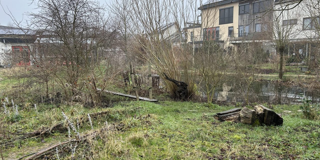 Rondleiding door ecowijk Mandora in Houten