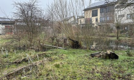 Rondleiding door ecowijk Mandora in Houten