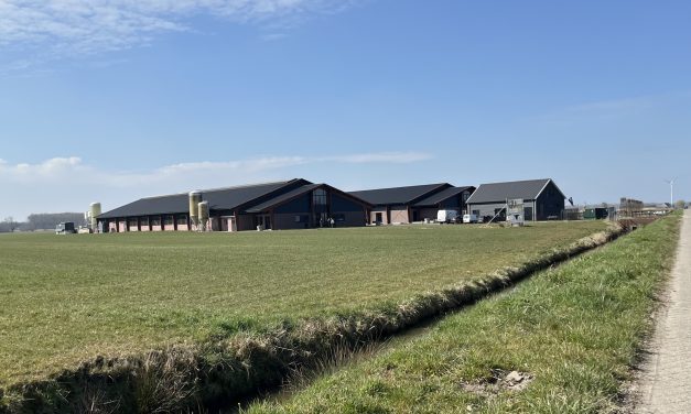Beleefboerderij Buiten in Schalkwijk bijna klaar
