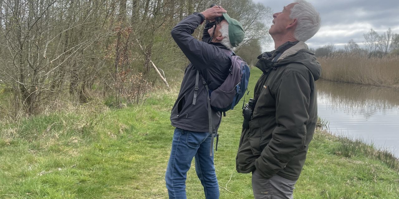 Samenstelling soorten vogels in Nieuw Wulven verandert: meer bosvogels en minder struweelvogels tijdens de broedvogeltelling