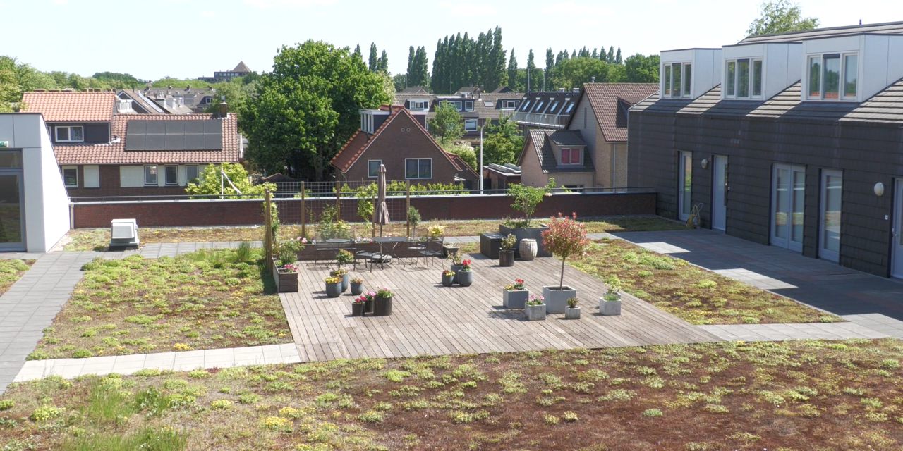 Loslaten en opnieuw beginnen: Niek van Kesteren over verhuizen als oudere