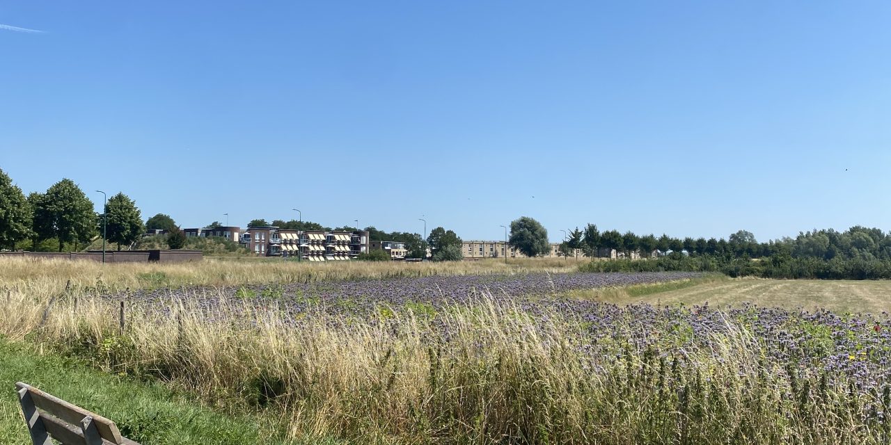 Is de weidevogel uitstervende in Houten?