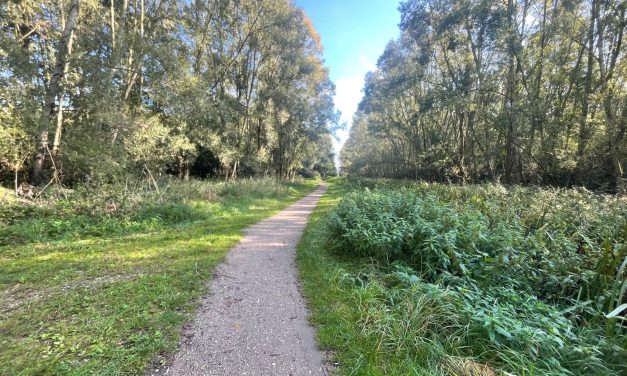 Natuurwandelen in Houten wordt steeds populairder