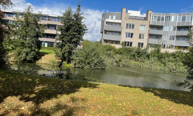 Houten zoekt klimaatburgemeester