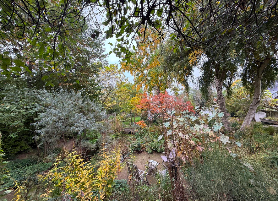 ‘Als experiment doen we voor het eerst de Open Tuindag in het najaar, omdat ik de herfstkleuren juist heel mooi vindt’