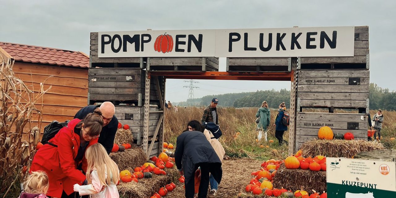 Eerste ‘pompoenplukdag’ in 10 jaar tijd bij boer Henk
