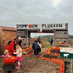 Eerste ‘pompoenplukdag’ in 10 jaar tijd bij boer Henk