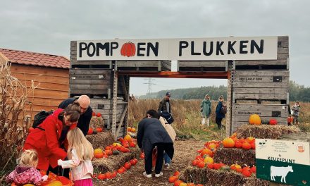 Eerste ‘pompoenplukdag’ in 10 jaar tijd bij boer Henk