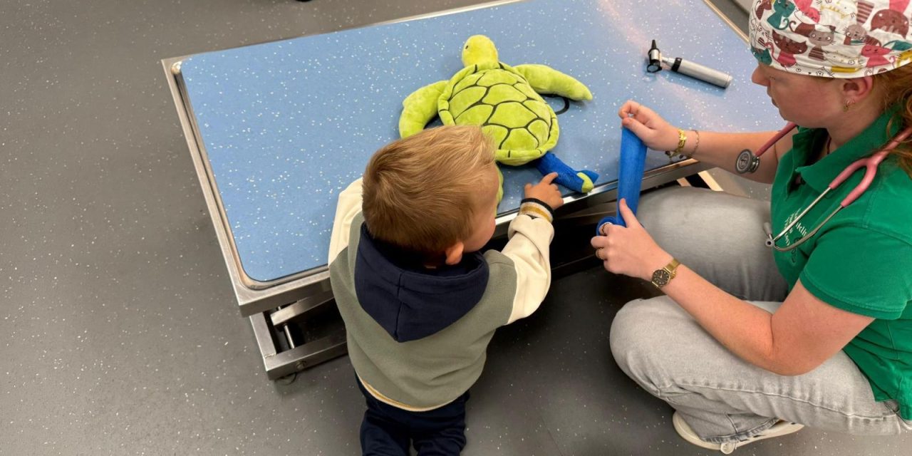 Knuffeldierenspreekuur heeft grote invloed op kinderen