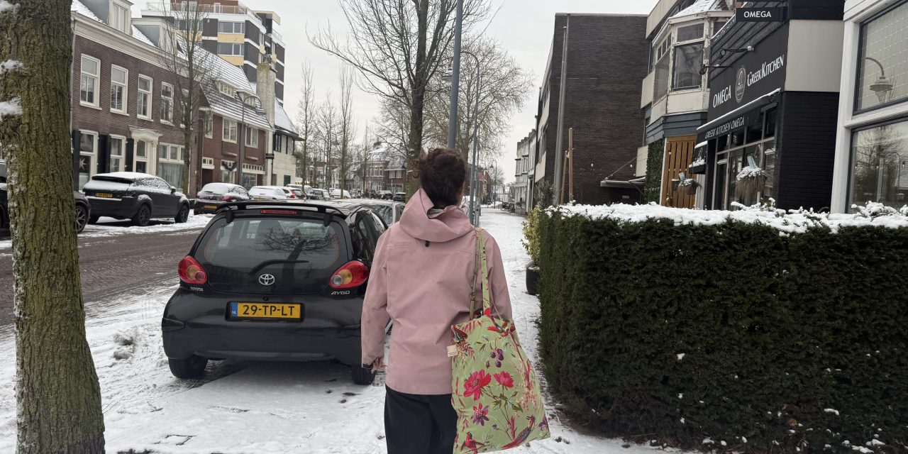 Gestrand in de sneeuw: lopend van Utrecht centrum naar de Bilt