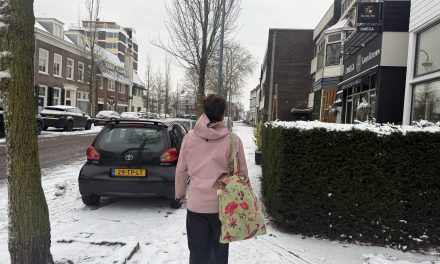 Gestrand in de sneeuw: lopend van Utrecht centrum naar de Bilt