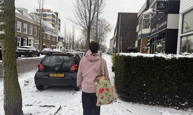Gestrand in de sneeuw: lopend van Utrecht centrum naar de Bilt