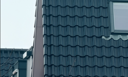 Onder de Pannen is meer dan alleen een kamer verhuren