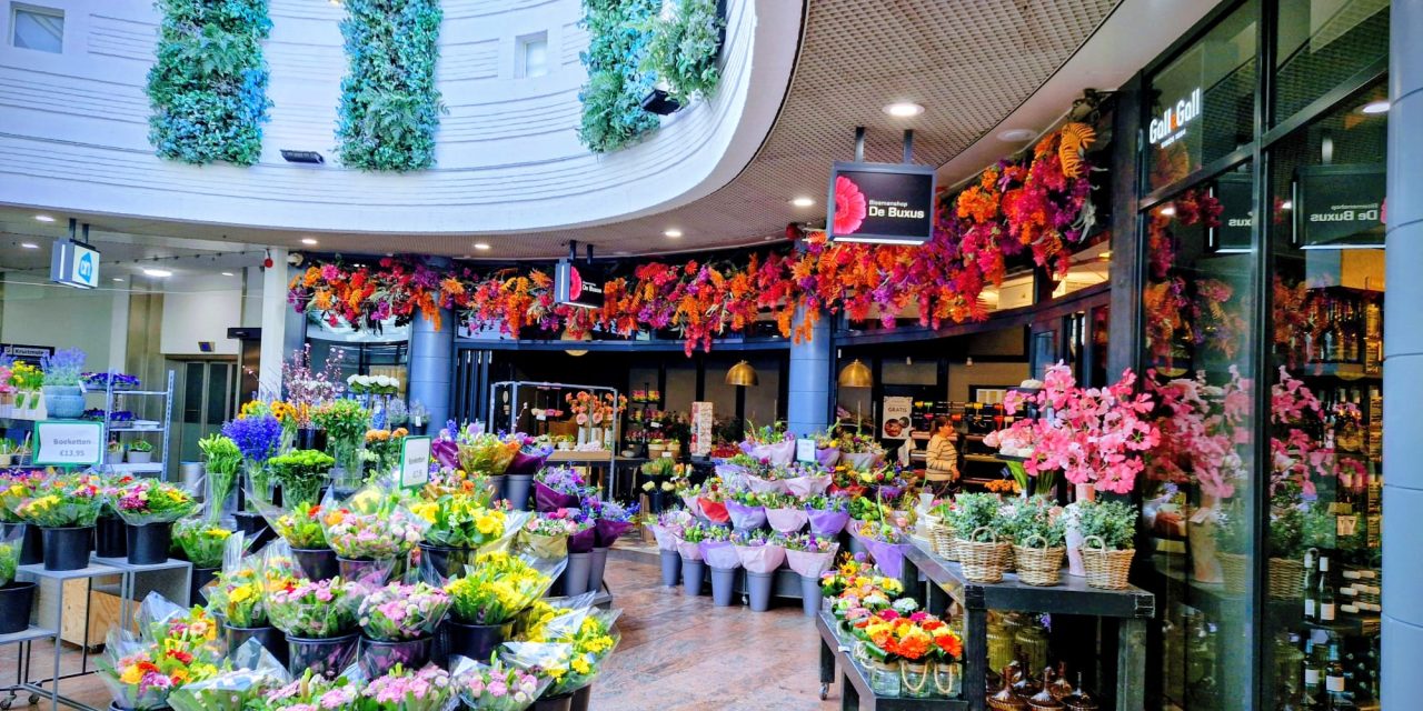 Bloemist dreigt te verdwijnen door mogelijke btw-verhoging