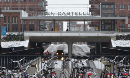 Meer fietsenstallingen bij station Houten na klachten over volle rekken