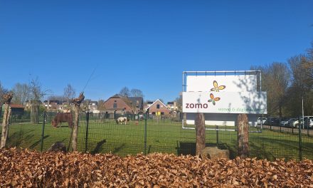 Speelboerderij Houten verrijkt het verblijf van de pony’s met Paddock Paradise