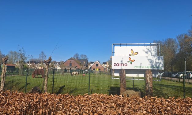 Speelboerderij Houten verrijkt het verblijf van de pony’s met Paddock Paradise