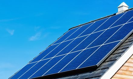 Vogelnesten onder zonnepanelen vormen een probleem, maar er is een manier om dit te voorkomen