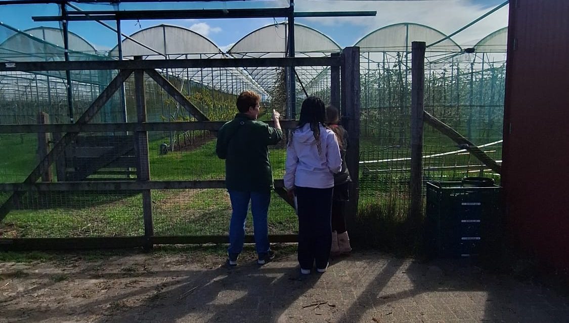 Boerderij Nieuw Slagmaat opent de deuren voor de jeugd tijdens ‘Ontdek de Boerderij’