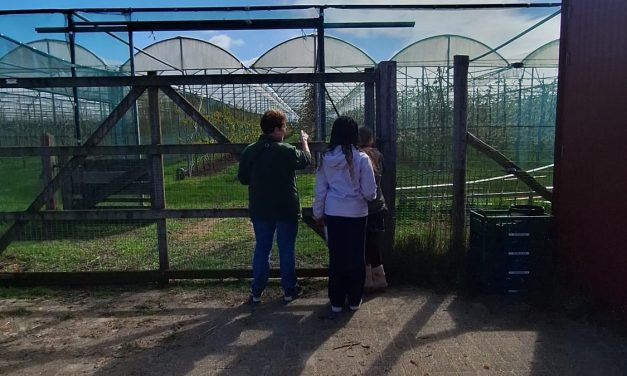 Boerderij Nieuw Slagmaat opent de deuren voor de jeugd tijdens ‘Ontdek de Boerderij’