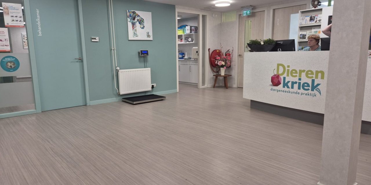 Achter de schermen als dierenarts