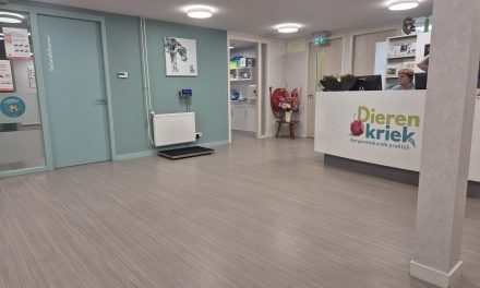 Achter de schermen als dierenarts
