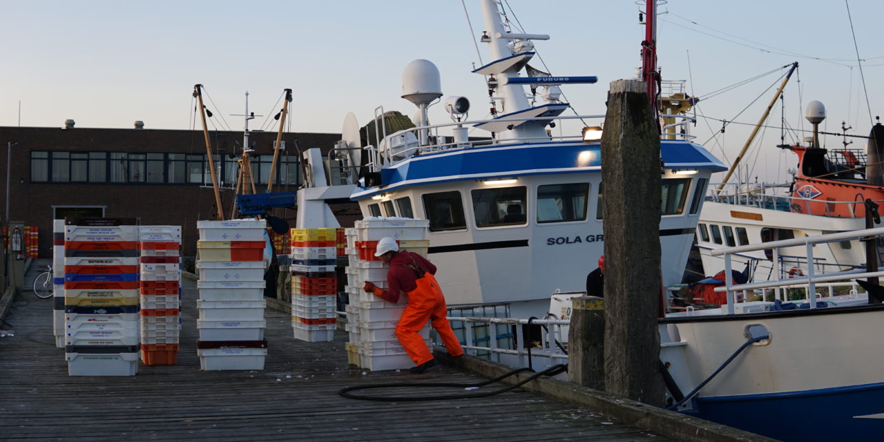 No-deal Brexit: a nightmare for Dutch fishermen