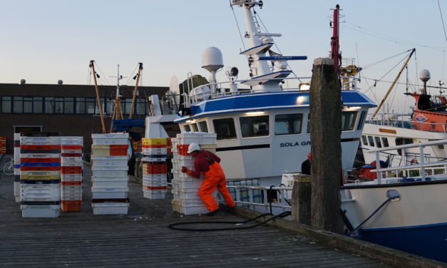 No-deal Brexit: a nightmare for Dutch fishermen