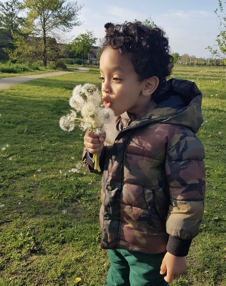 Some happiness in blowing a dandelion flower