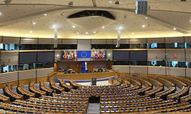 The EU: A Remaining Enigma