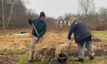 WWOOFing, a unique experience that empowers Sweden