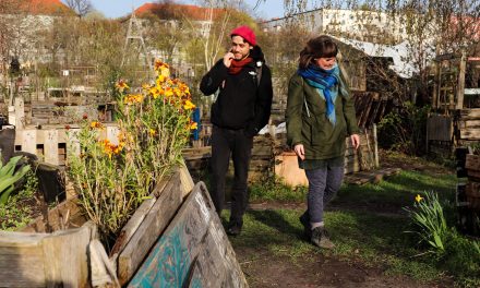 Community gardens in Berlin: places to grow together