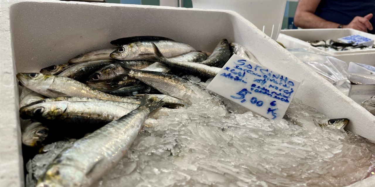 Diving into the Portuguese sardine crisis