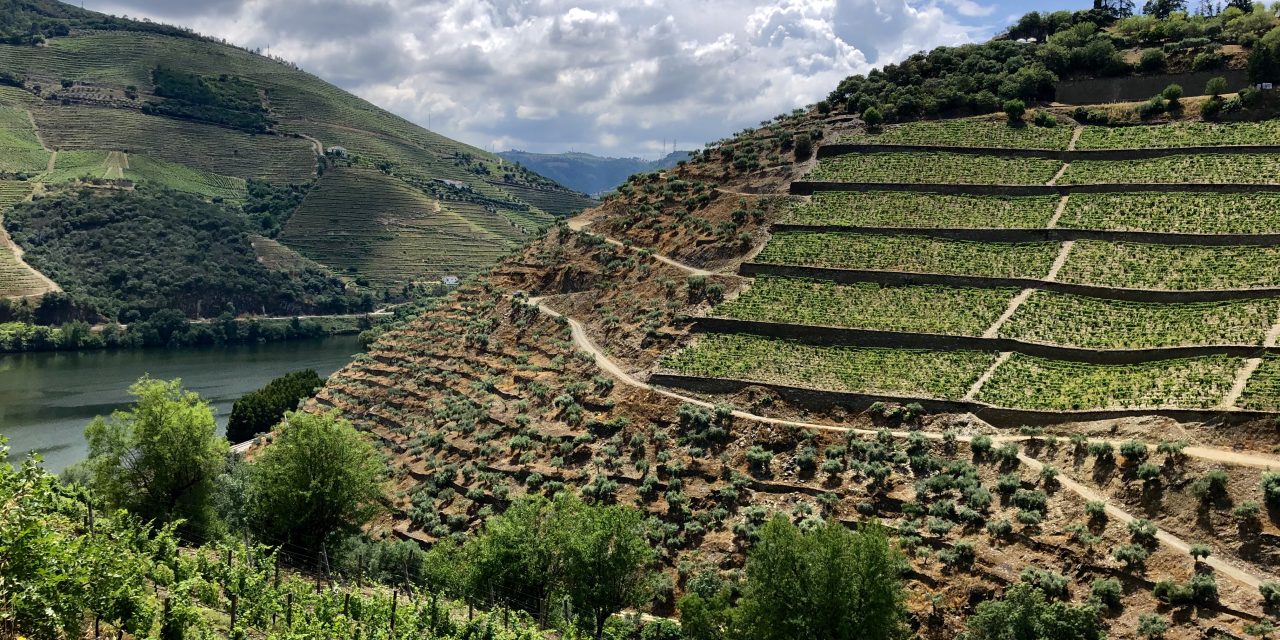 Climate Change versus the Portuguese Wine Production Culture
