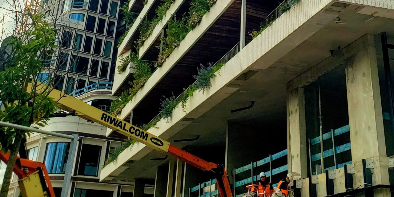 Are vertical forests and green roofs the future?