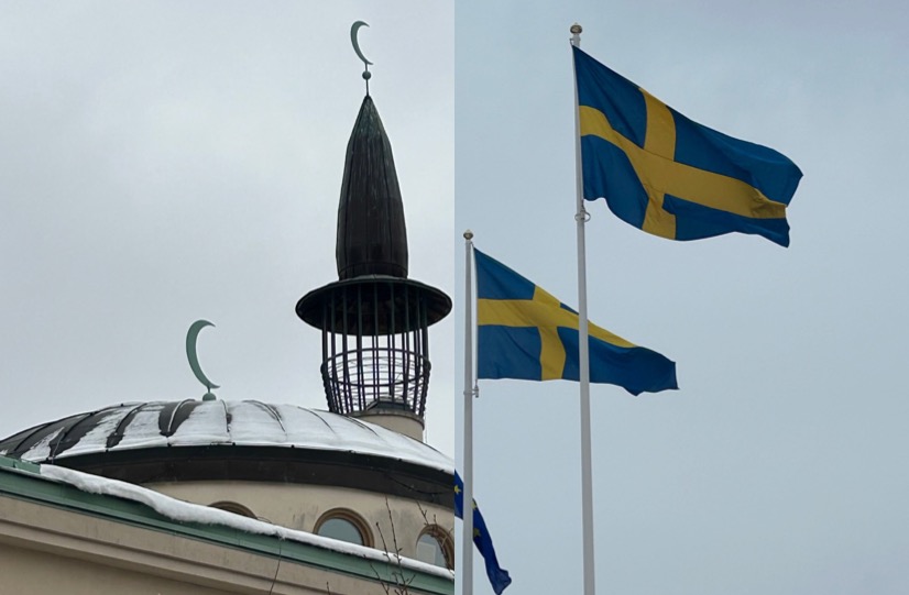 The rise of the Sweden Democrats: challenging the notion of Swedish tolerance