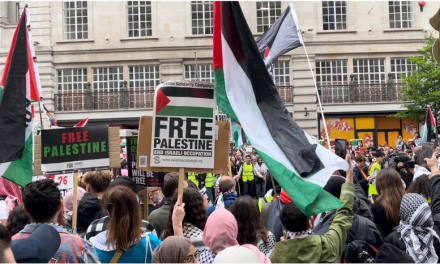 Activism for Palestine: a place to find a special community