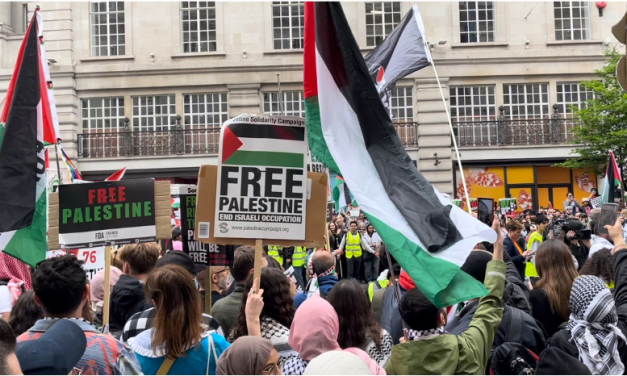 Pro-Palestinian activism: a place to find a special community