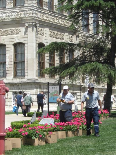 Dolmabahçe Palace has its own gardeners