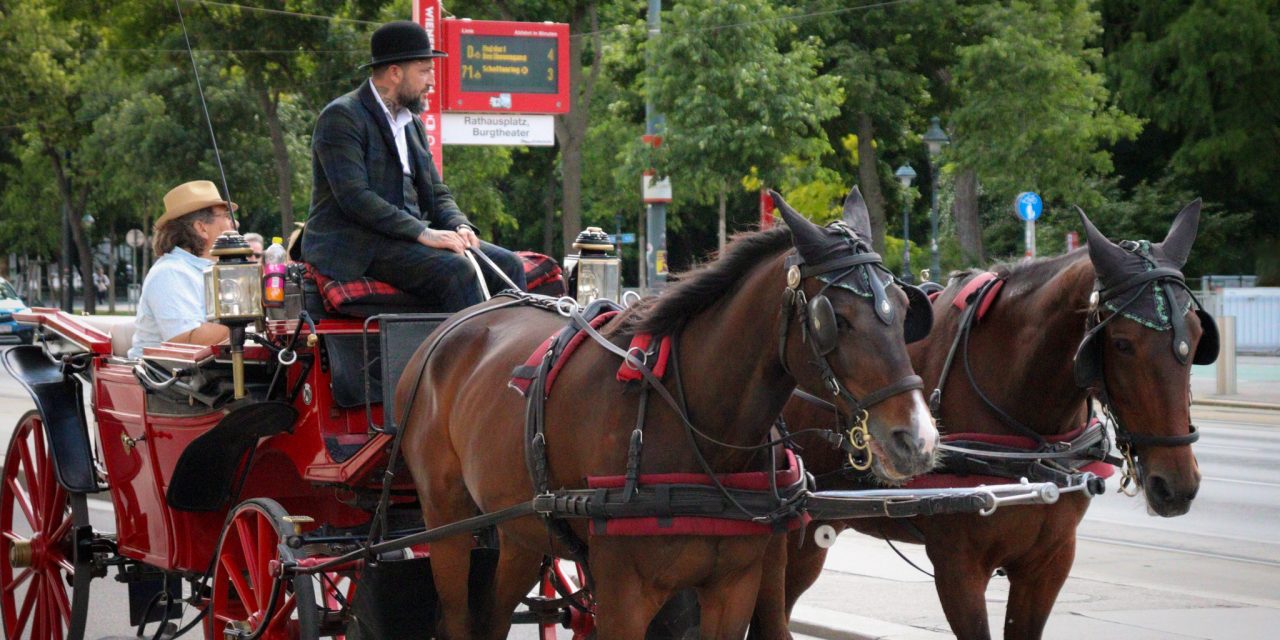 A ride through history or a step back in animal welfare?
