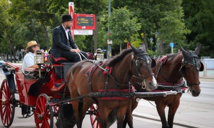 A ride through history or a step back in animal welfare?