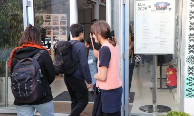 “A Ticket Is Not Enough”: Rethinking Cultural Participation in Vienna