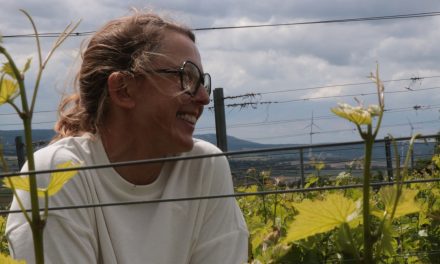 Wine making – The art of your own intuition