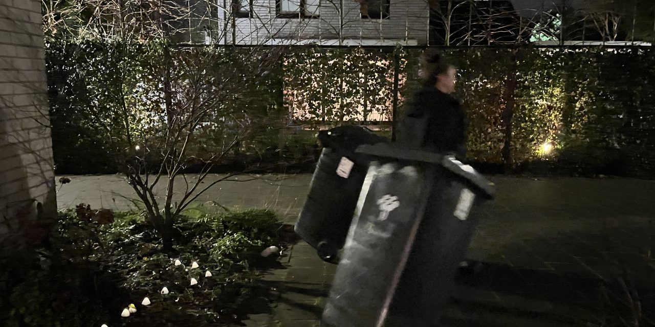 Building Resilience in Dutch Towns