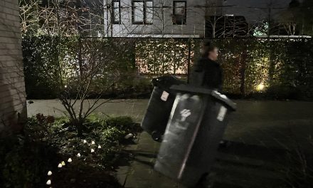 Building Resilience in Dutch Towns