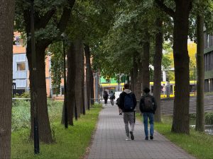 Two students walking together on a tree-lined walkway in the campus area.