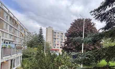 Rethinking Conscription – Radio Report